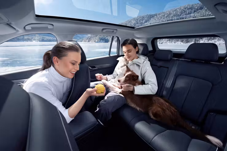 Радует и развлекает пассажиров