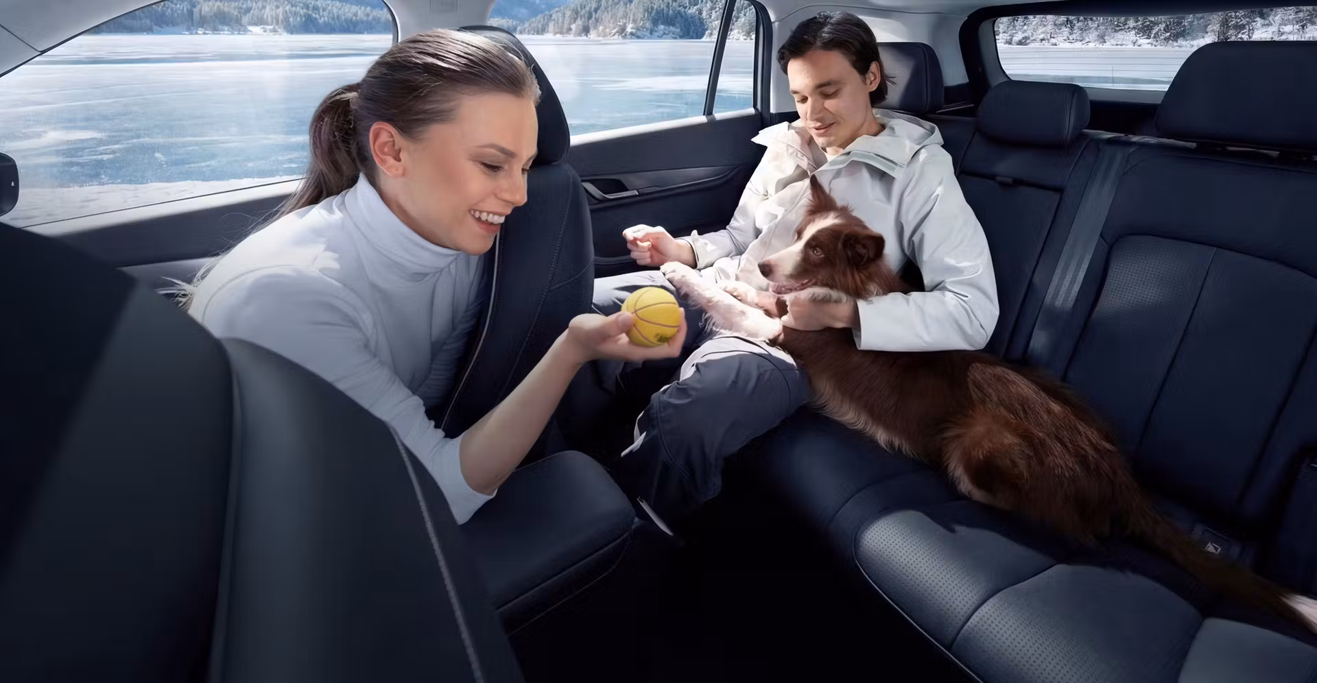 Особенности для владельцев питомцев